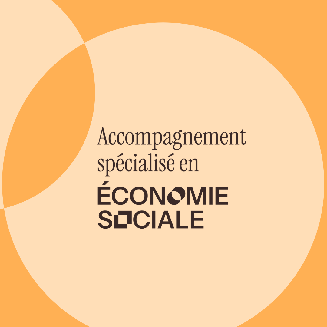 Accompagnement spécialisé en économie sociale