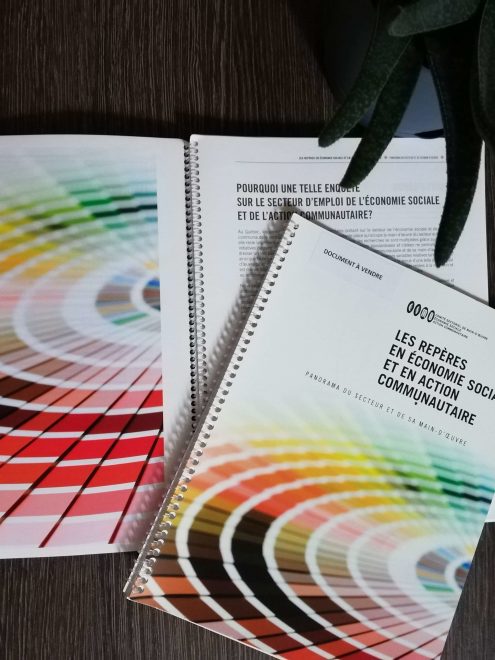 Les Repères en économie sociale et en action communautaire, Édition 2009