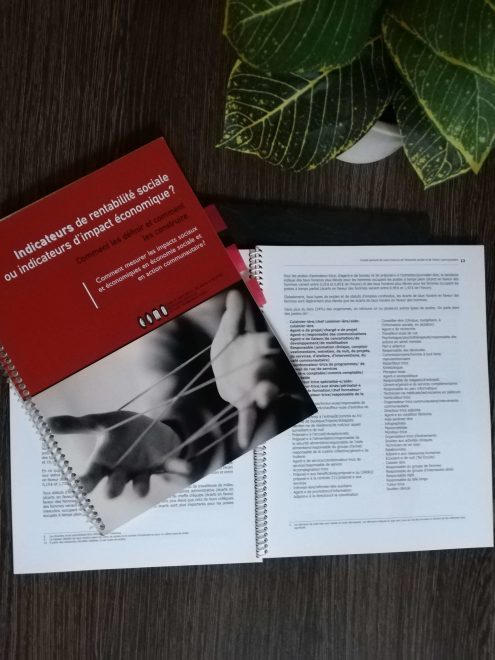 Indicateurs de rentabilité sociale ou indicateurs d'impact économique?