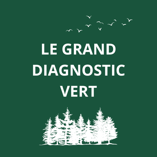 Le grand diagnostic vert