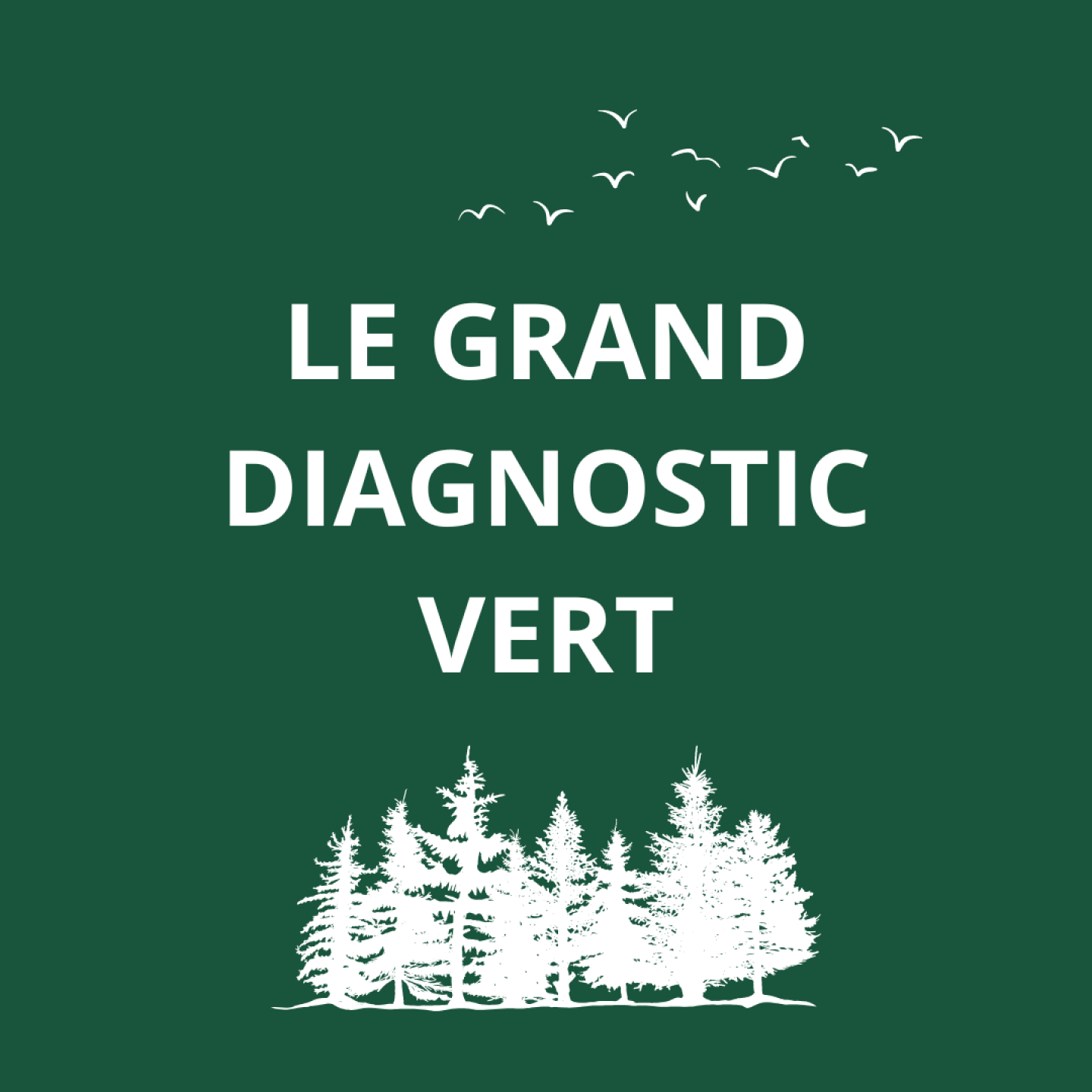 Le grand diagnostic vert