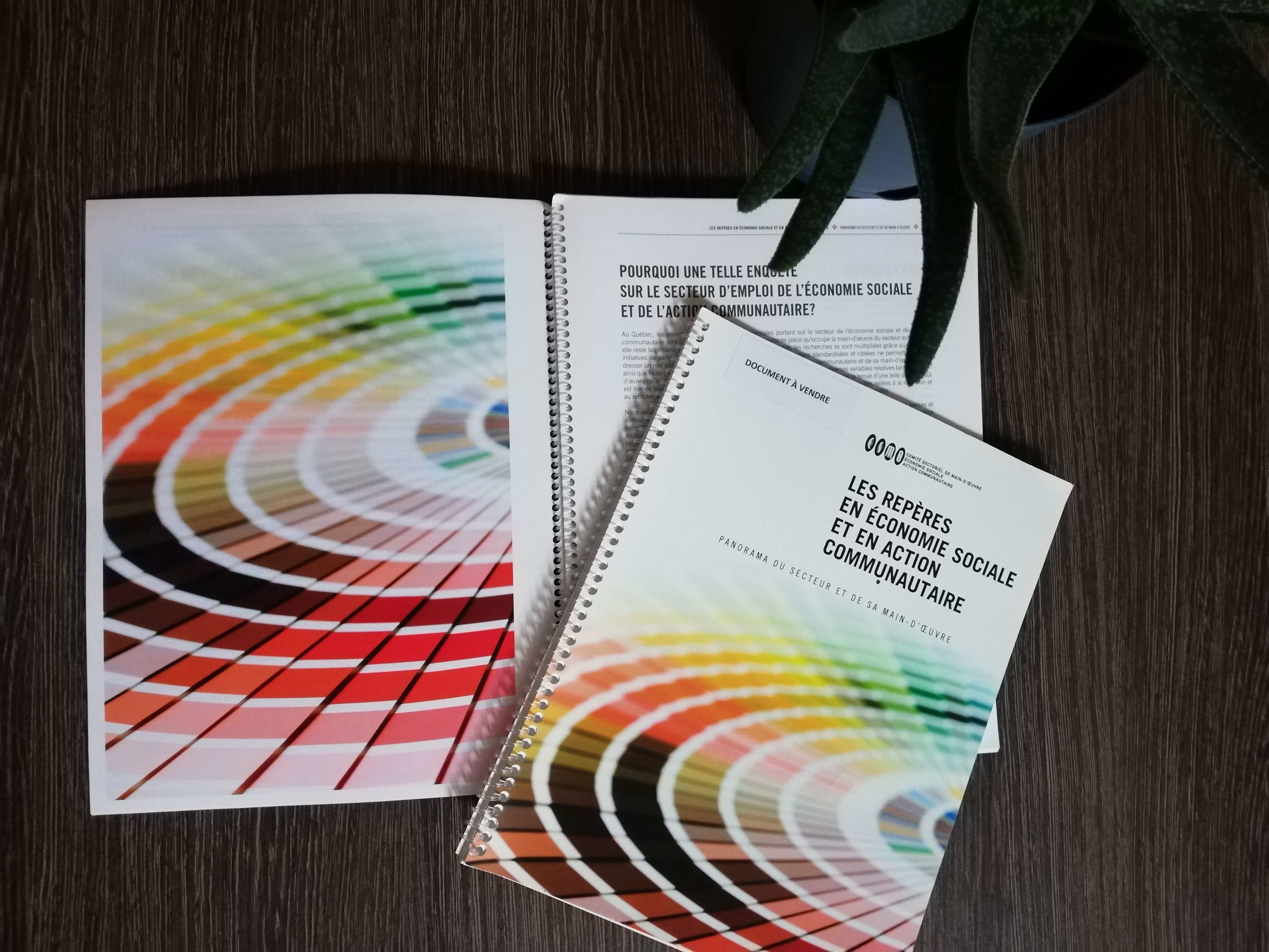 Les Repères en économie sociale et en action communautaire, Édition 2009