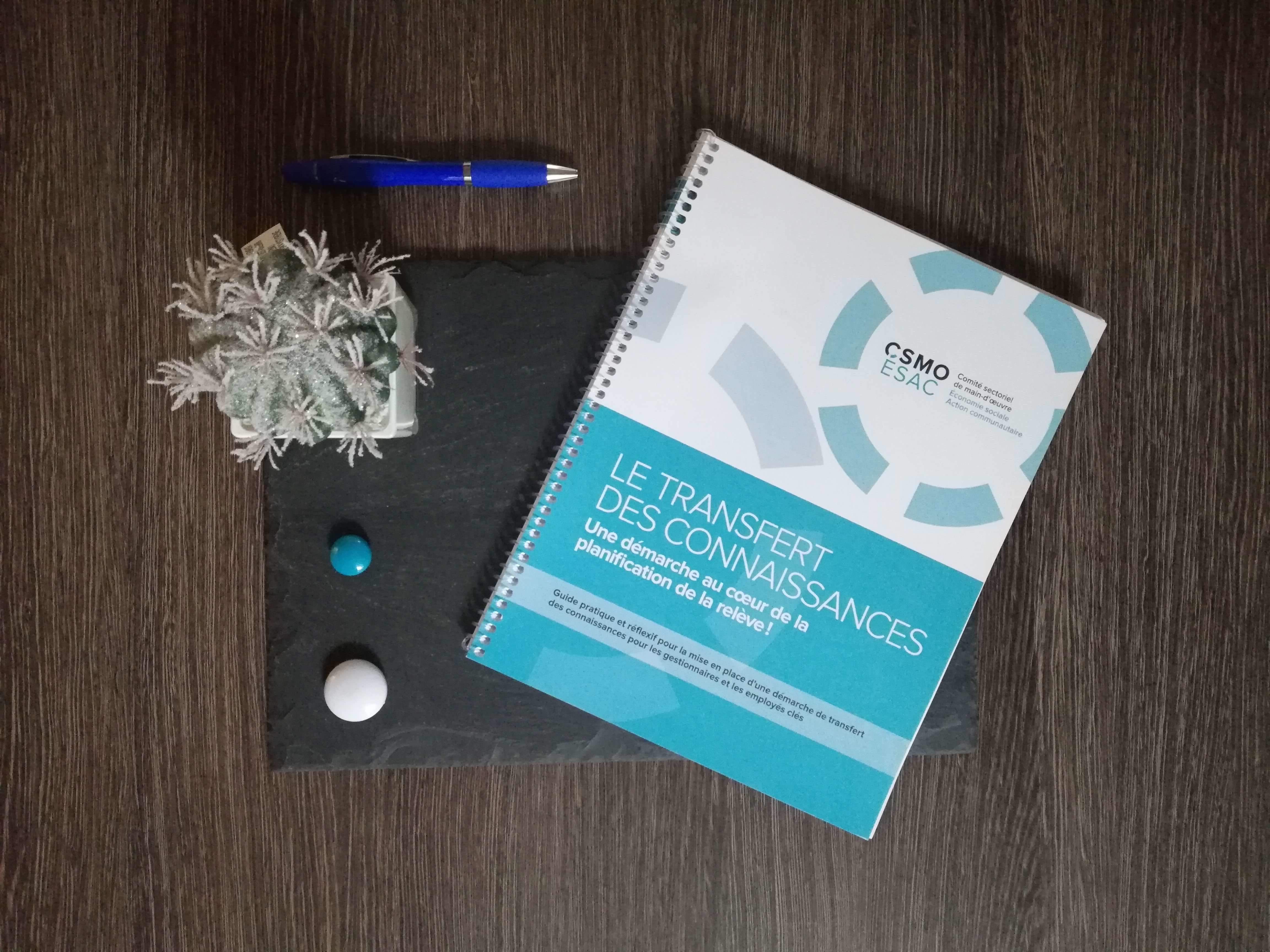 Guide : Le transfert des connaissances