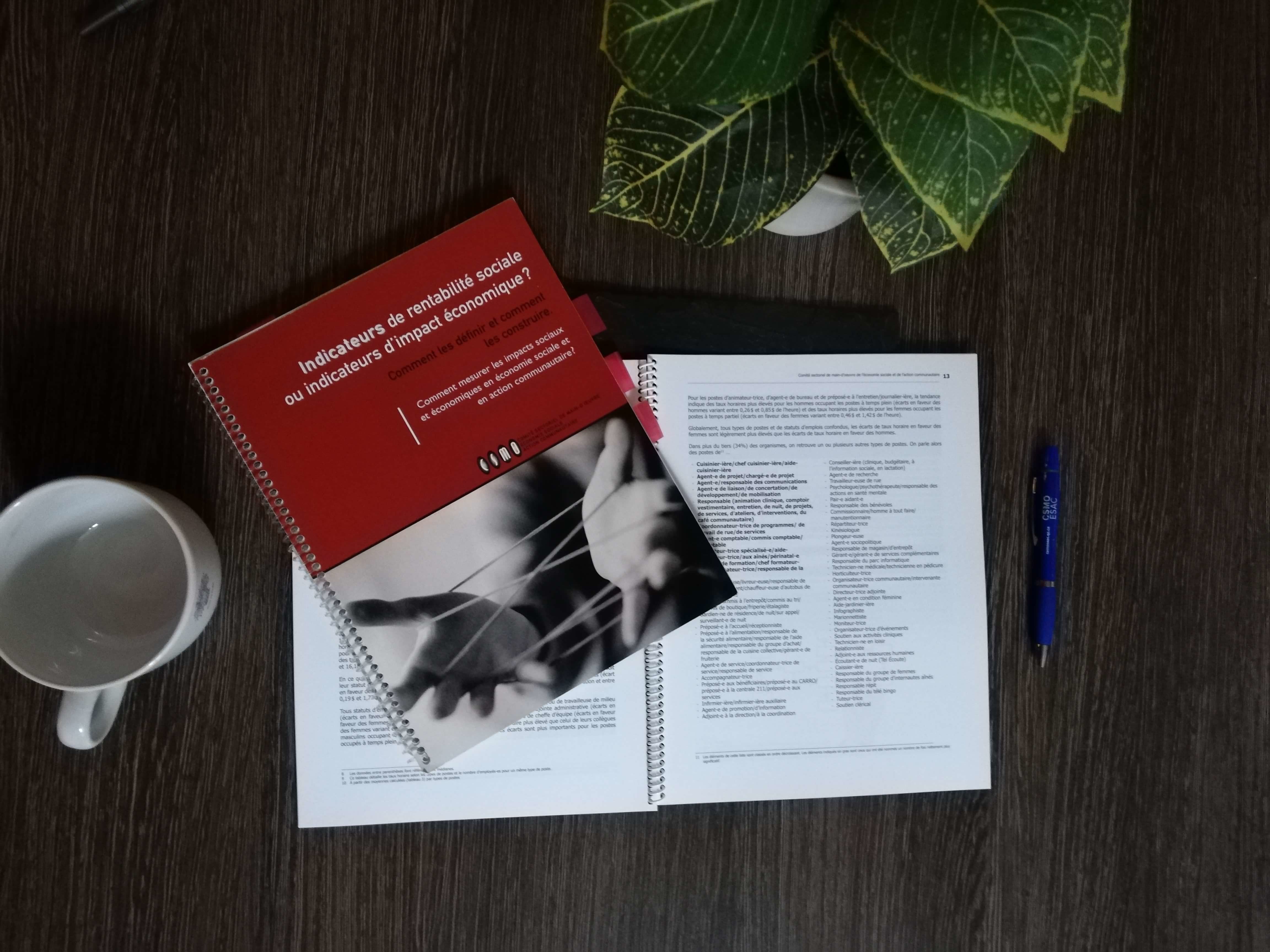 Indicateurs de rentabilité sociale ou indicateurs d'impact économique?