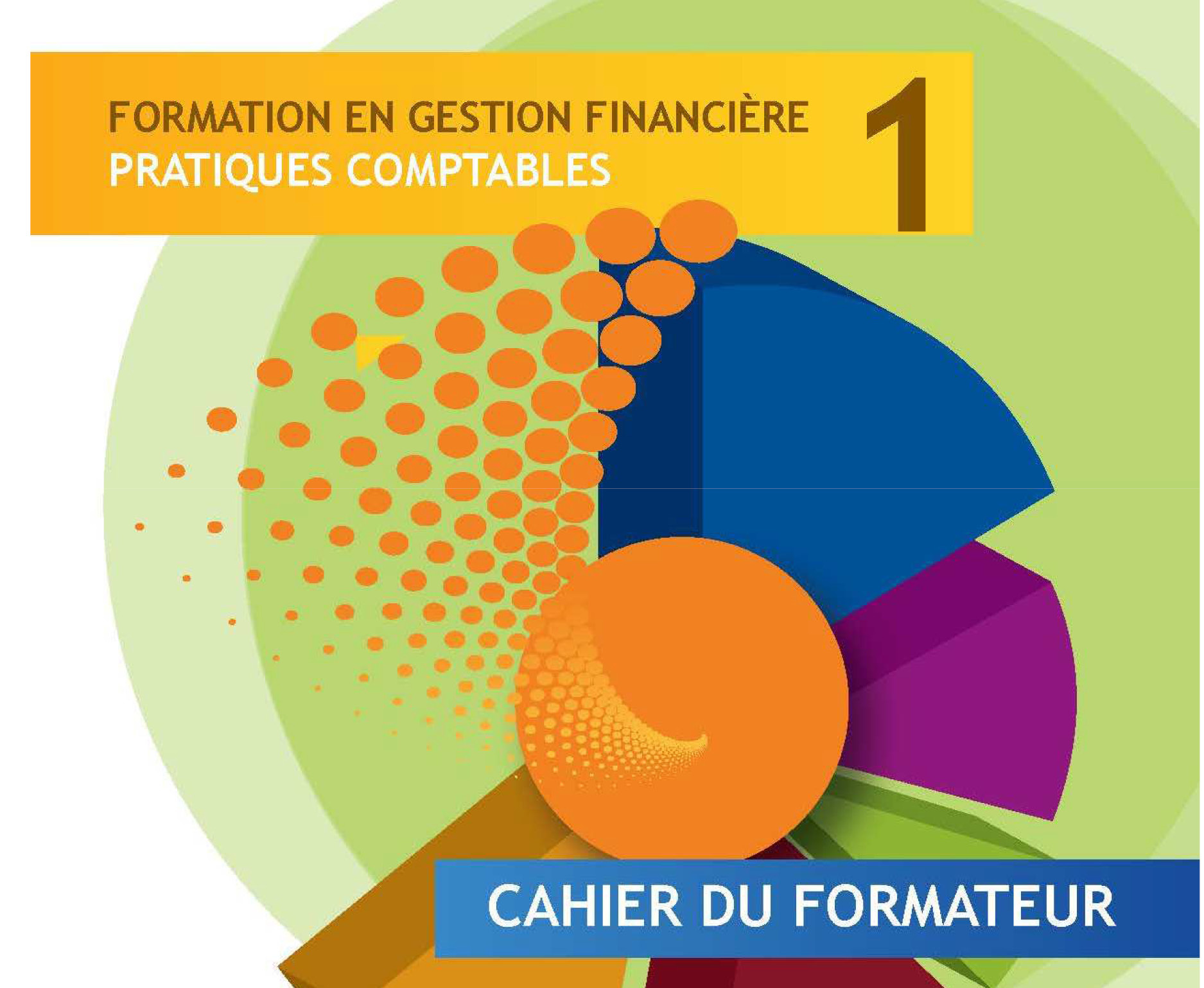 Kit pour les formateurs en gestion financière : Module 1 - Pratiques comptables